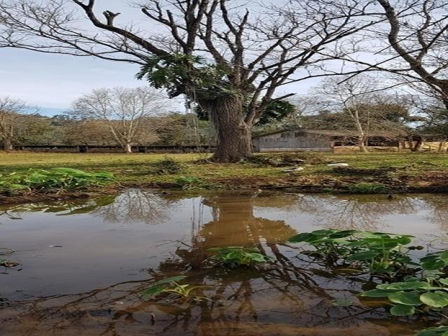 #1 - Chácara para Venda em Coronel Freitas - SC - 3