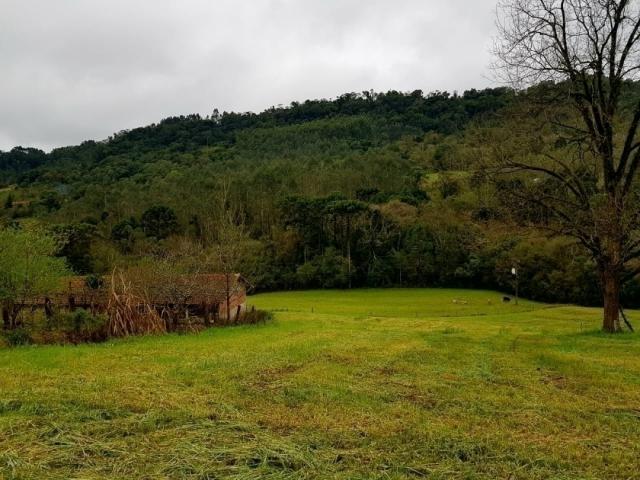 Chácara para Venda em Cordilheira Alta - 5