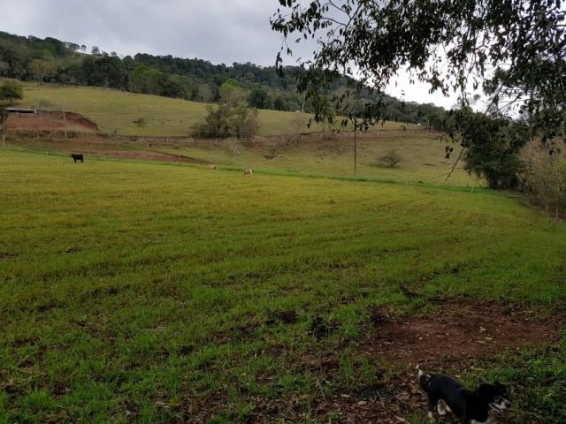 Chácara para Venda em Cordilheira Alta - 4