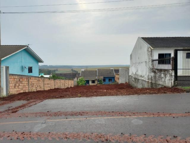 Terreno para Venda em Guatambú - 5