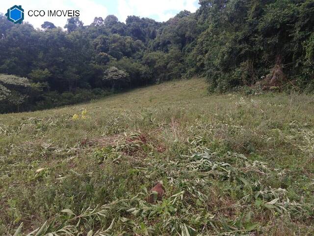 Chácara para Venda em Cordilheira Alta - 4