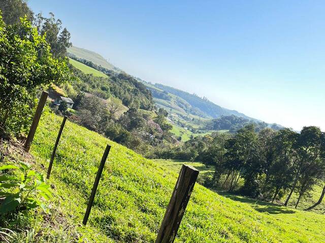 #228 - Chácara para Venda em Coronel Freitas - SC - 1