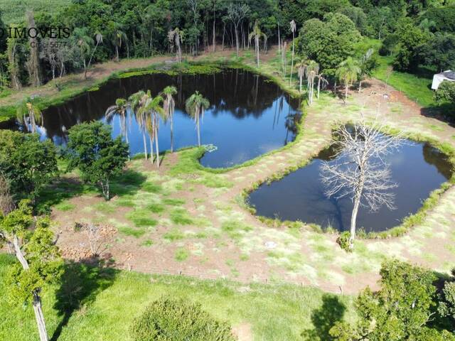 #381 - Chácara para Venda em Coronel Freitas - SC