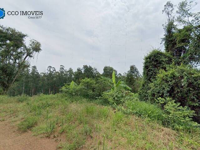 #382 - Chácara para Venda em Cordilheira Alta - SC