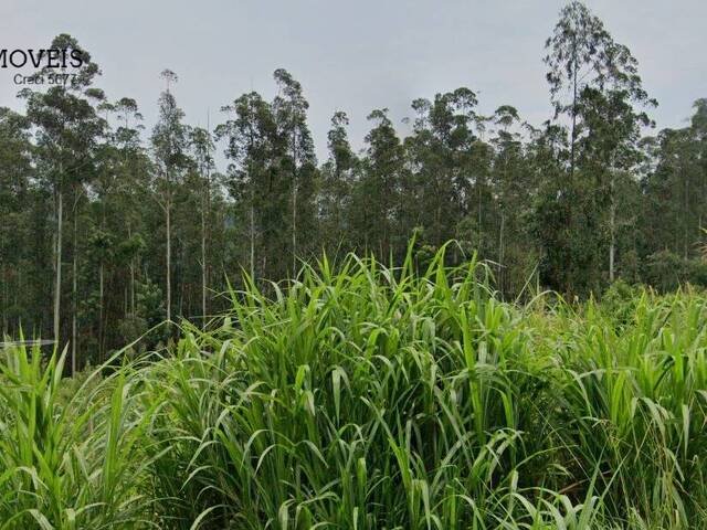 #386 - Chácara para Venda em Chapecó - SC