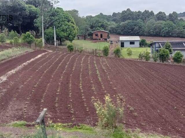 #391 - Chácara para Venda em Chapecó - SC