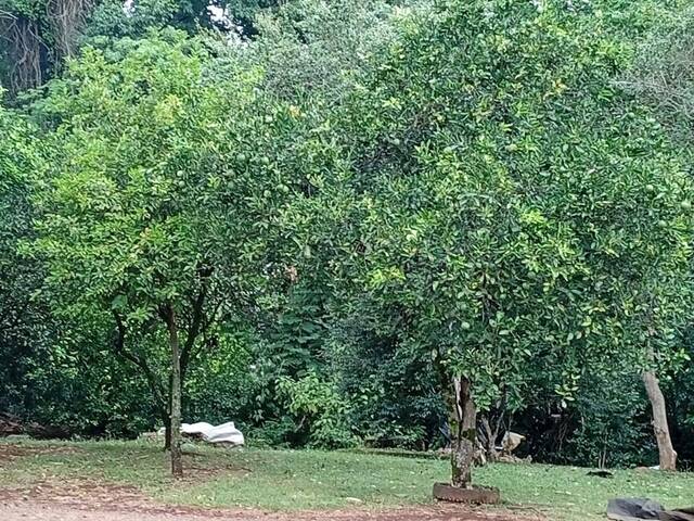 #396 - Chácara para Venda em Guatambú - SC
