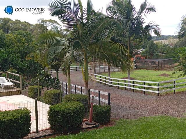 #395 - Chácara para Venda em Chapecó - SC - 3