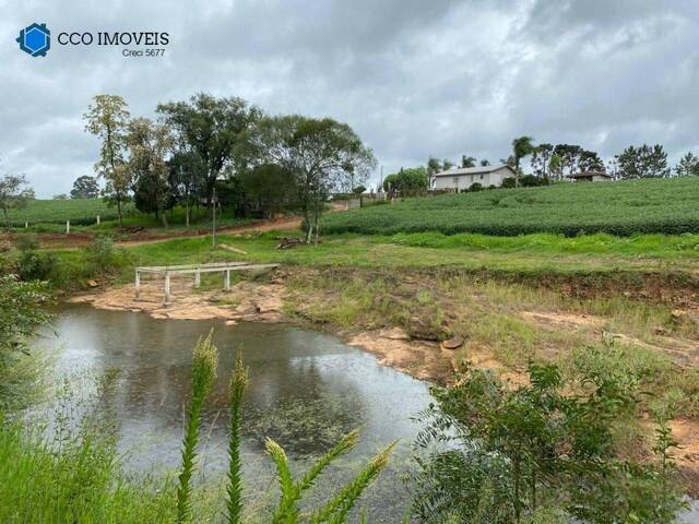 #410 - Chácara para Venda em Trindade do Sul - RS - 3