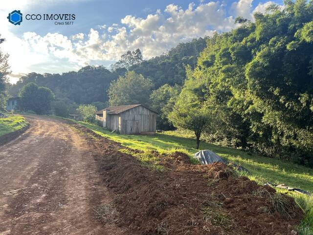 #409 - Chácara para Venda em Coronel Freitas - SC