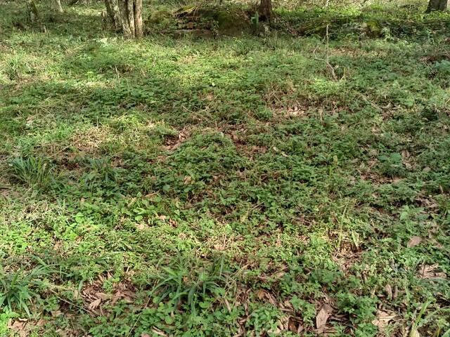 #413 - Chácara para Venda em Chapecó - SC