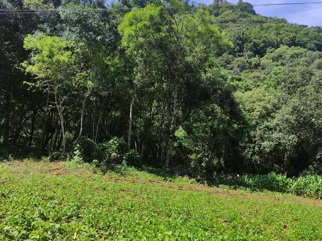 #413 - Chácara para Venda em Chapecó - SC