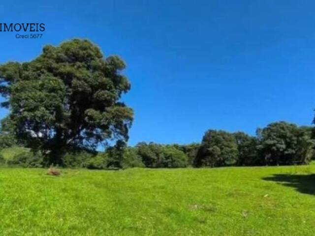 #350 - Chácara para Venda em Guatambú - SC - 2