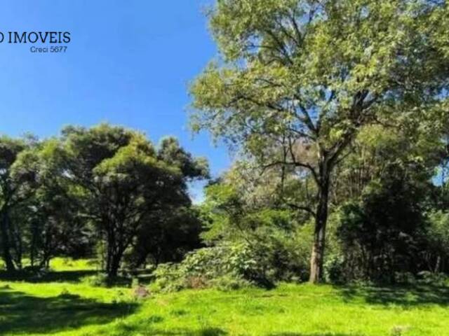 #350 - Chácara para Venda em Guatambú - SC - 3
